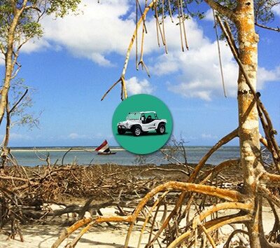 Passeio de Buggy - Litoral Oeste